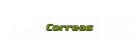 Correas / Arnés