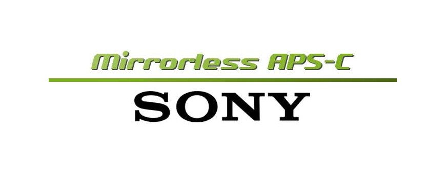 Sony Mirrorless APS-C