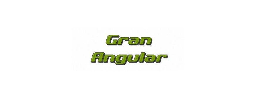 Gran Angular
